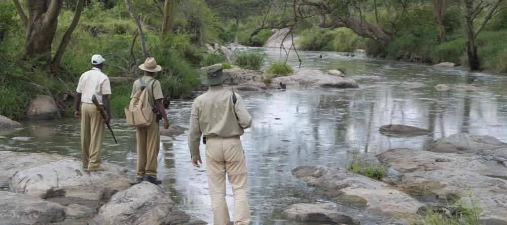 Serengeti Migration Camp, Serengeti National Park, Tanzania - Image 8