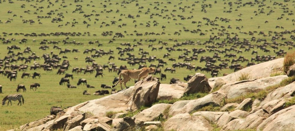 Olaado Camp, Serengeti National Park, Tanzania - Image 6