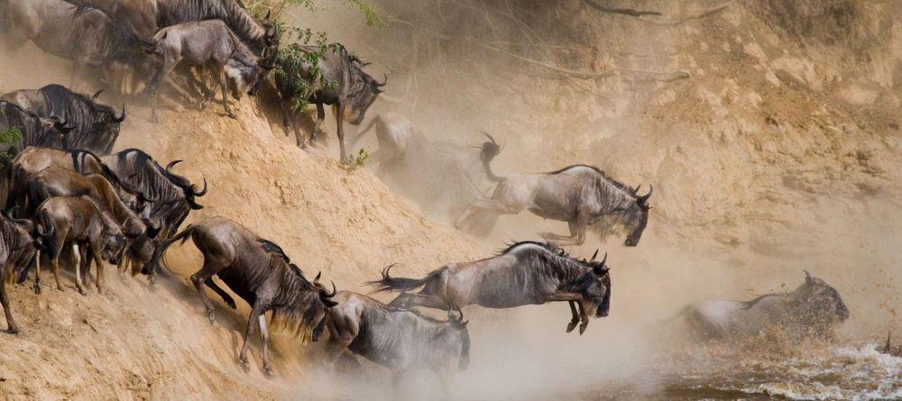 Kazkaz Mara Camp - Image 3