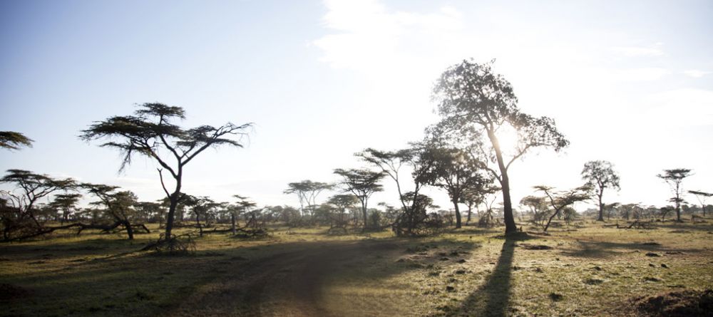 Serian Camp, Masai Mara National Reserve. Kenya - Image 14
