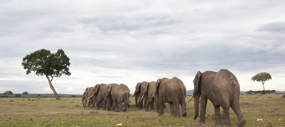 Serian Camp, Masai Mara National Reserve. Kenya - Image 15