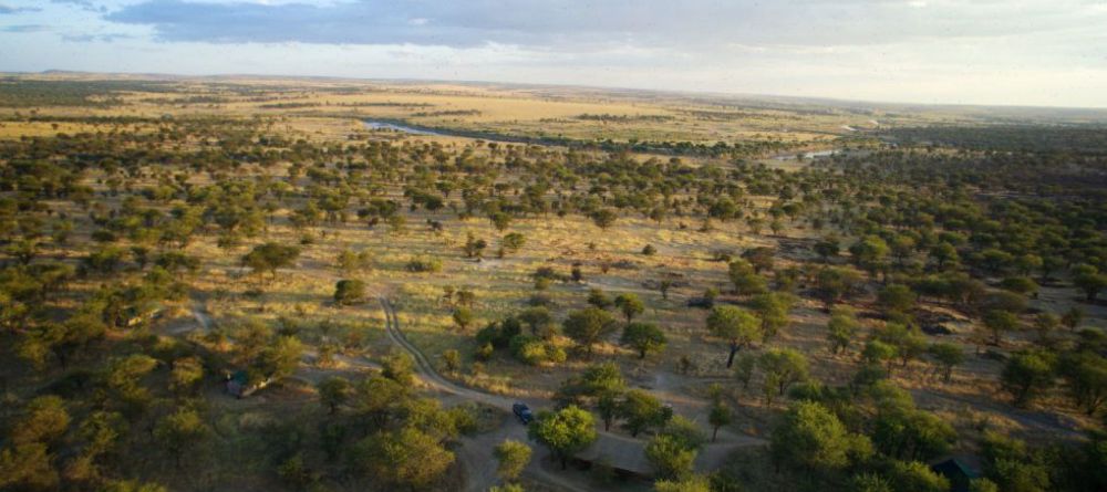 Serian Serengeti Lamai - Image 4
