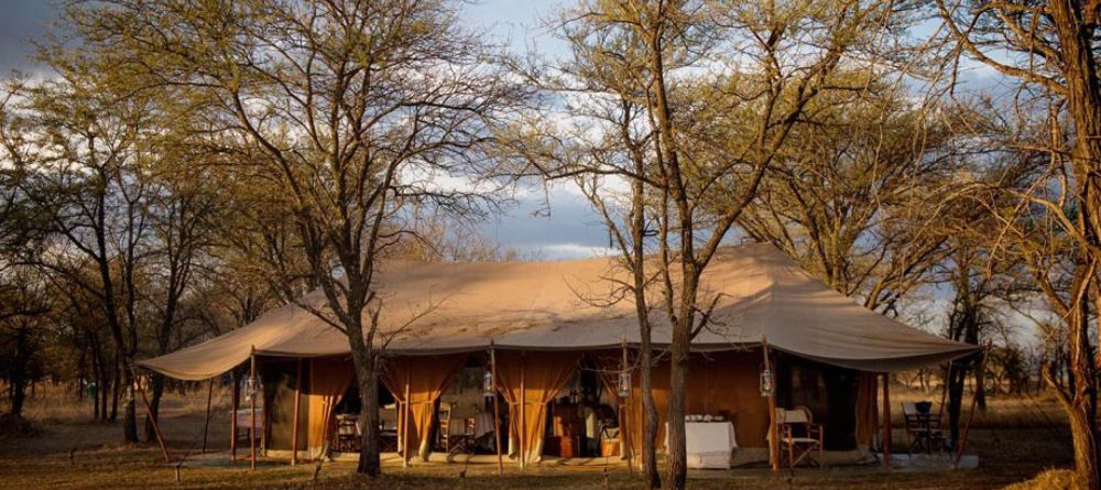 Serian Serengeti Lamai - Image 1