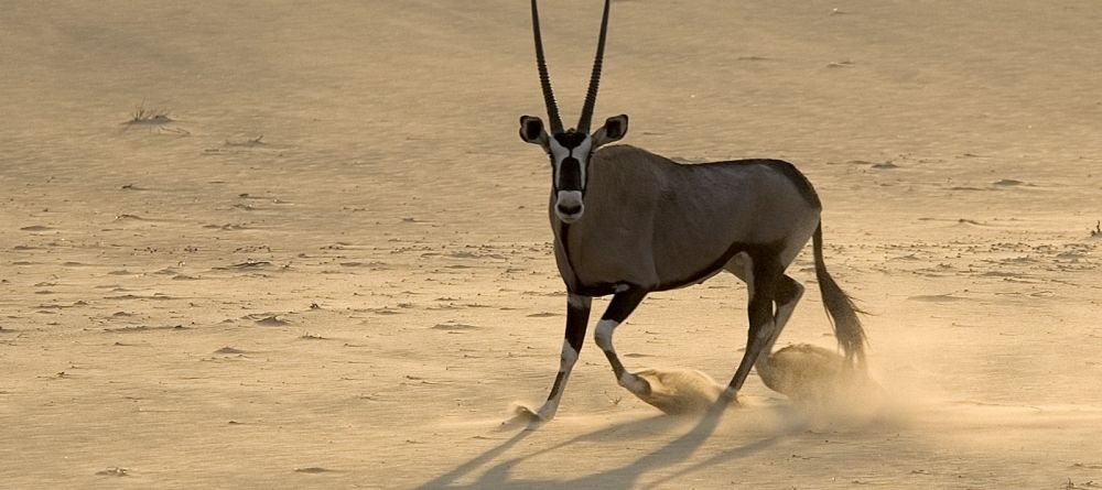 Serra Cafema, Hartmans Valley, Namibia Â© Dana Allen - Image 13