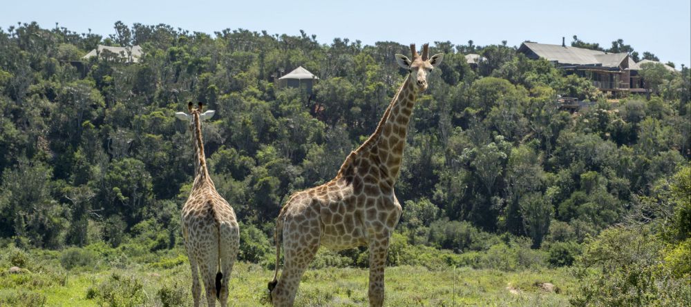 Kariega Settler's Drift - Image 3