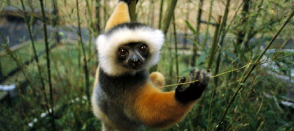 Setam Lodge, Madagascar - Image 2