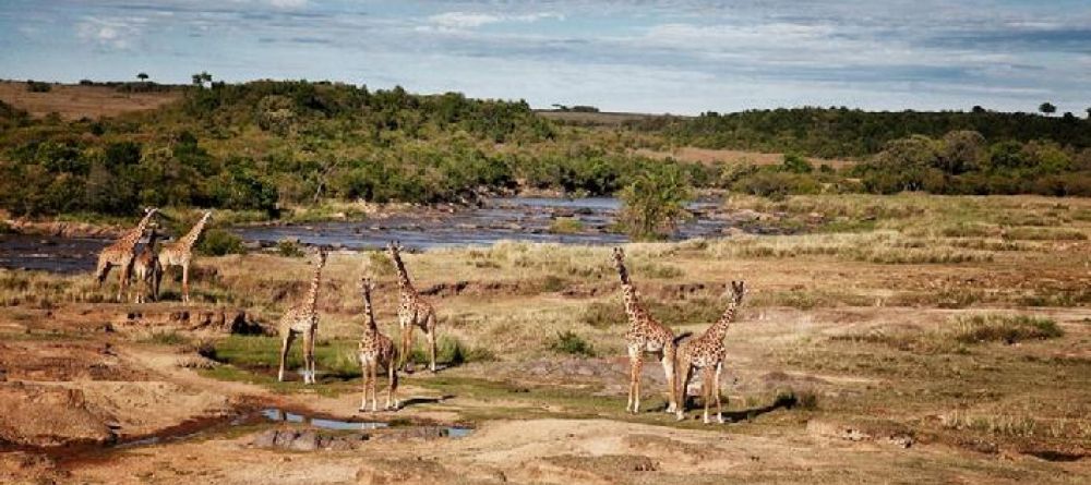 Set on the Mara River is Serian Nkorombo Camp - Image 5