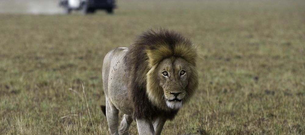 Shumba Camp, Kafue National Park, Zambia  Â© Dana Allen - Image 10