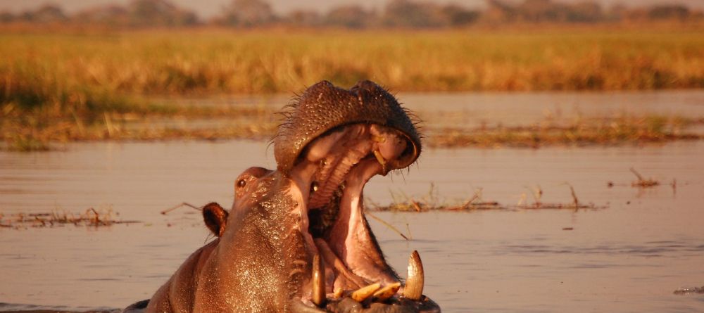 Shumba Camp, Kafue National Park, Zambia  Â© Lindi Douwenga - Image 12