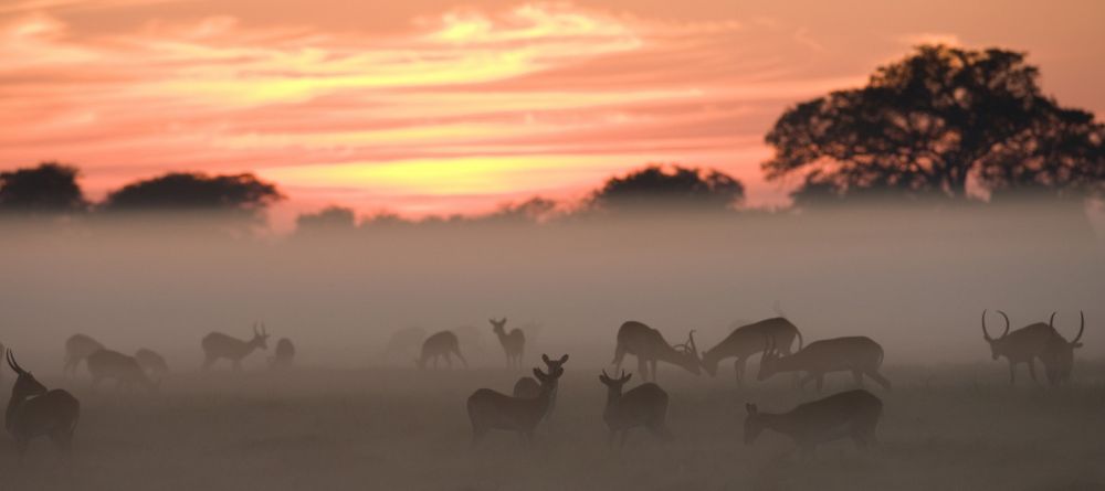 Shumba Camp, Kafue National Park, Zambia  Â© Michael Poliza - Image 11