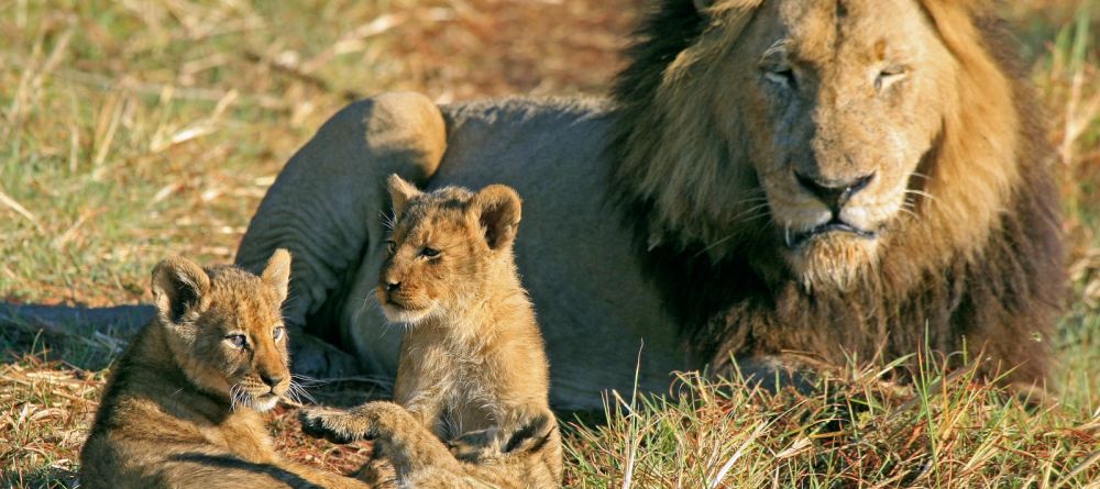 Shumba Camp, Kafue National Park, Zambia  Â© Mike Myers - Image 2
