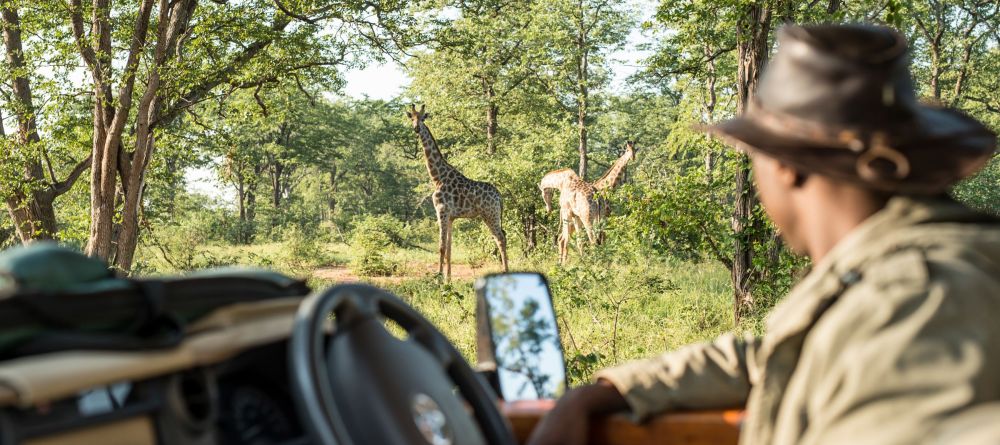 Singita Pamushana, Malilangwe Private Game Reserve, Zimbabwe - Image 4