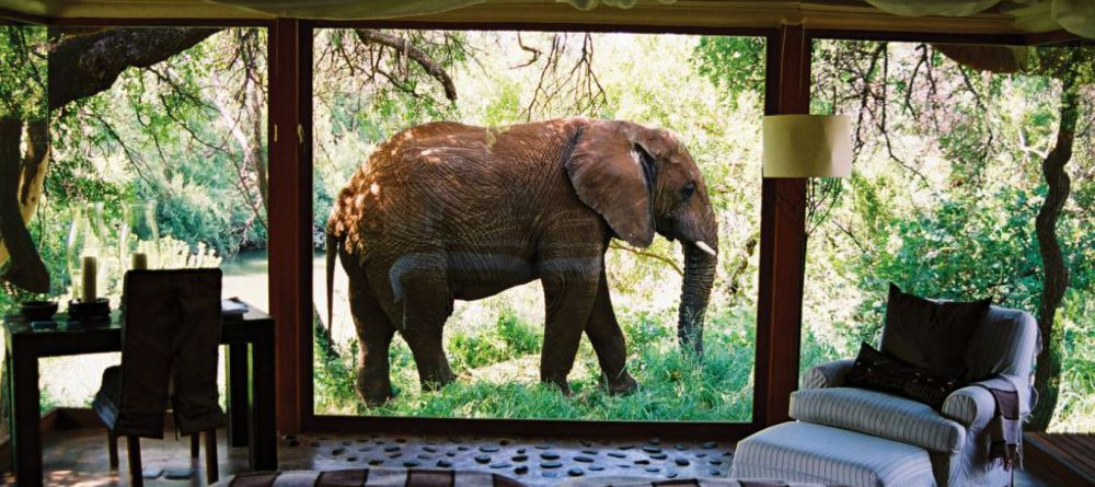 Sanctuary Makanyane Lodge - Image 6