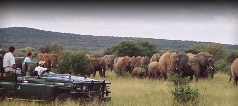 Sanctuary Makanyane Lodge - Image 7