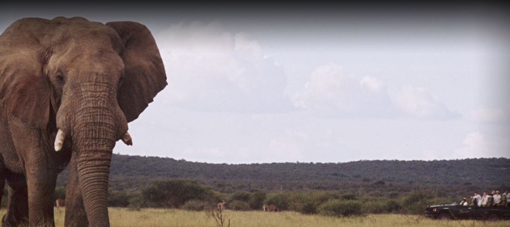 Sanctuary Makanyane Lodge - Image 4