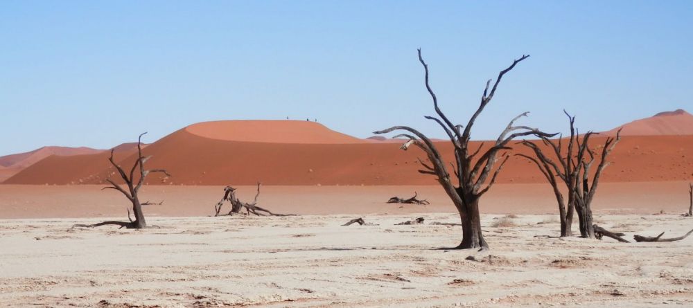 Sossus Oasis Camp Site Dunes - Image 1