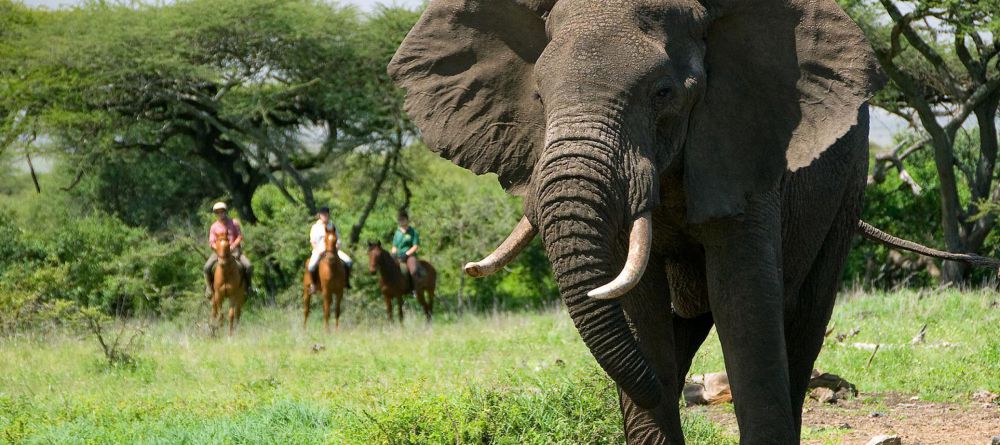 Sosian Lodge - Image 1