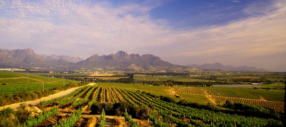 Spier Wine Farm Hotel - Image 4