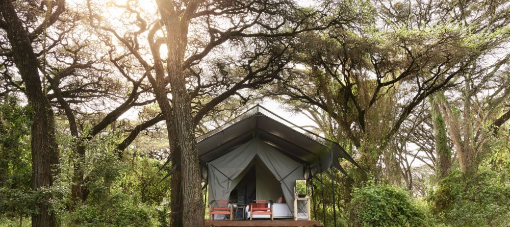 Sanctuary Ngorongoro Crater Camp - Image 7