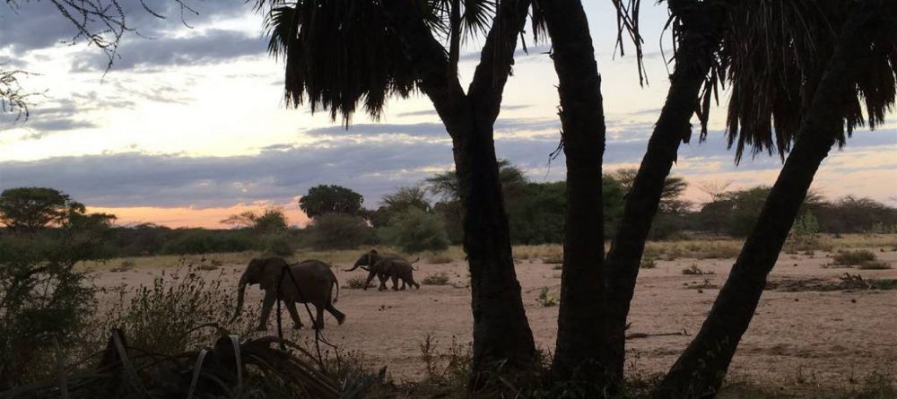 Saruni Rhino Camp - Image 8