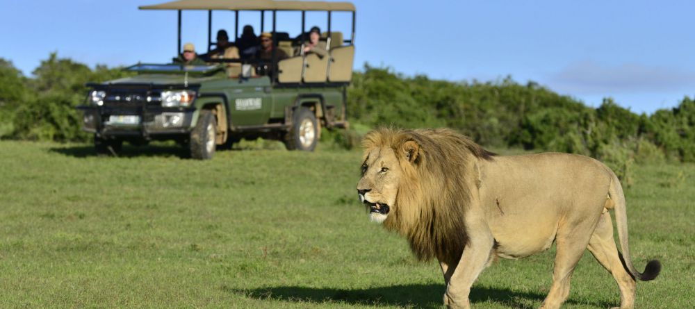 Shamwari Sarili Lodge - Image 2