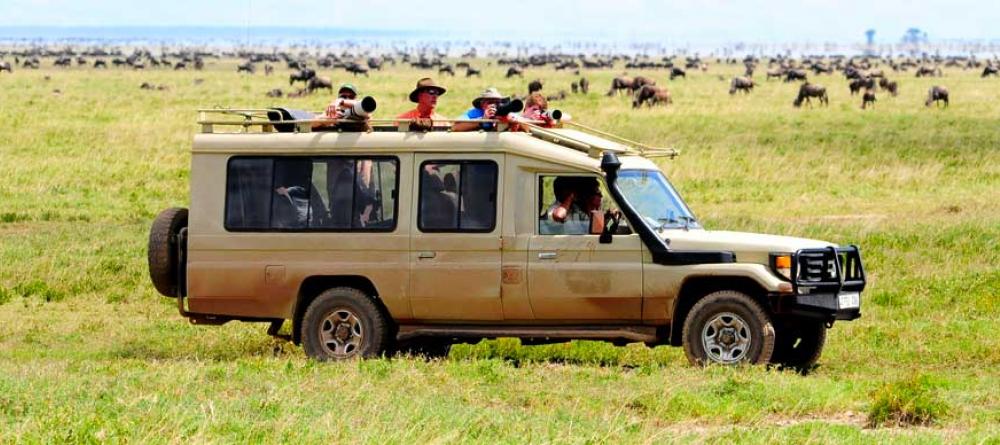 Go on a thrilling game drive to immerse yourself in the wildebeest and zebra migrations at Serengeti Savannah Camps, Serengeti National Park, Tanzania - Image 8