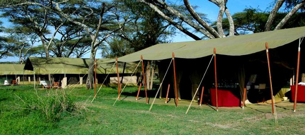 The tents nestled among the acacia trees at Serengeti Savannah Camps, Serengeti National Park, Tanzania - Image 4