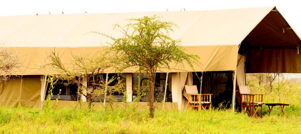 The camp blends into its natural surroundings at Serengeti Savannah Camps, Serengeti National Park, Tanzania - Image 1