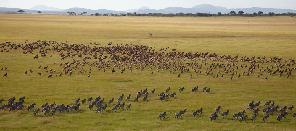 Bear witness to the world famous wildebeest migration at Singita Sasakwa Lodge, Grumeti Reserves, Tanzania - Image 16
