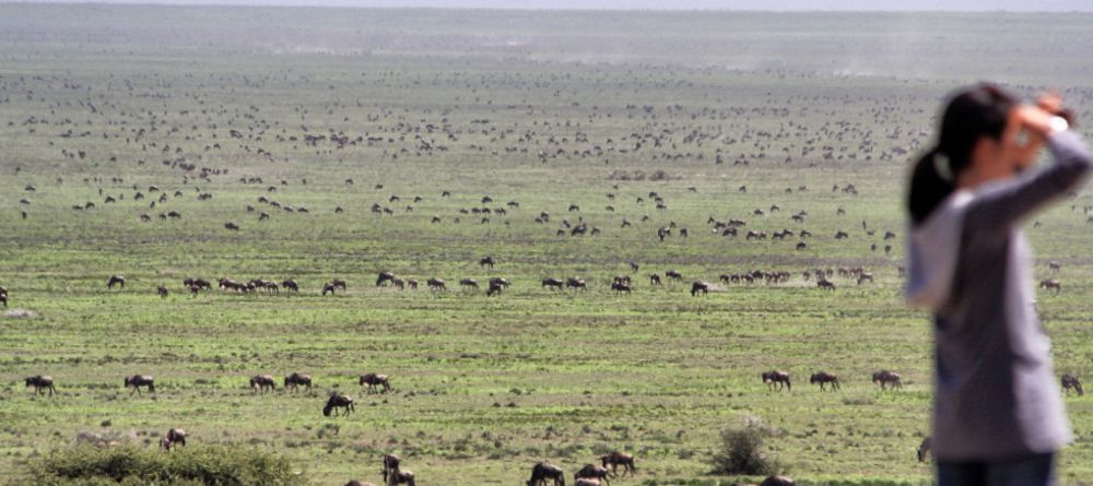 Serian Serengeti South  - Image 1