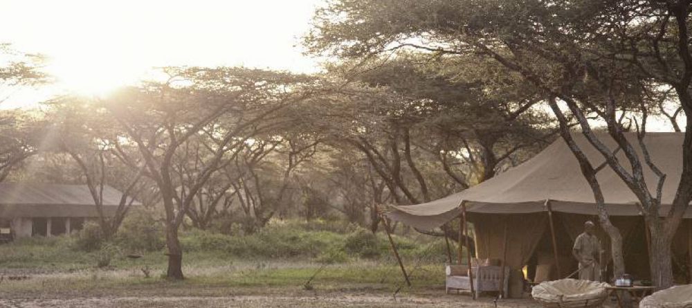 Serian Serengeti South  - Image 2