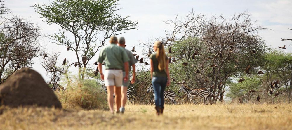Serian Serengeti South  - Image 4