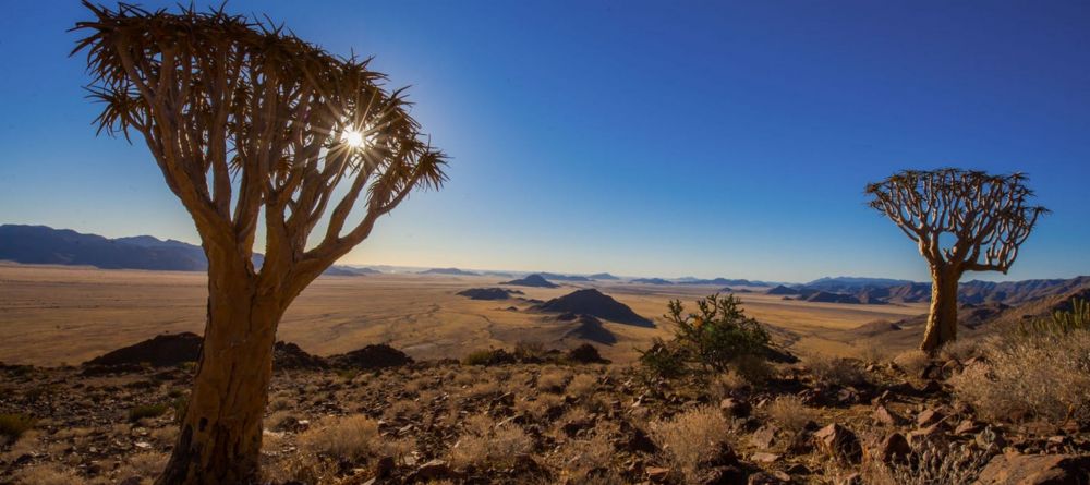 Sossus Under Canvas - Image 6