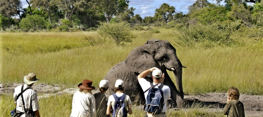 Stanley's Camp, Okavango Delta, Botswana - Image 1
