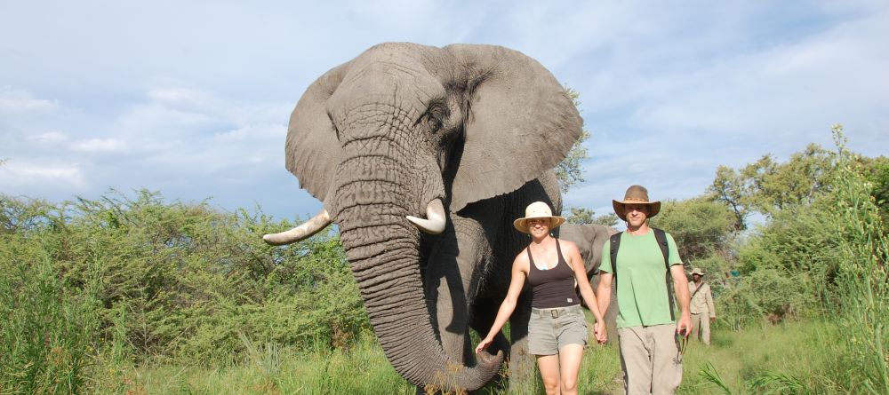Stanley's Camp, Okavango Delta, Botswana - Image 2