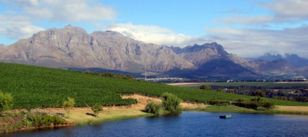 Stellenbosch landscape - Image 1