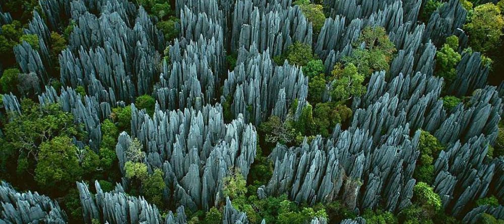 Iharana Bush Camp, Ankarana, Madagascar - Image 3