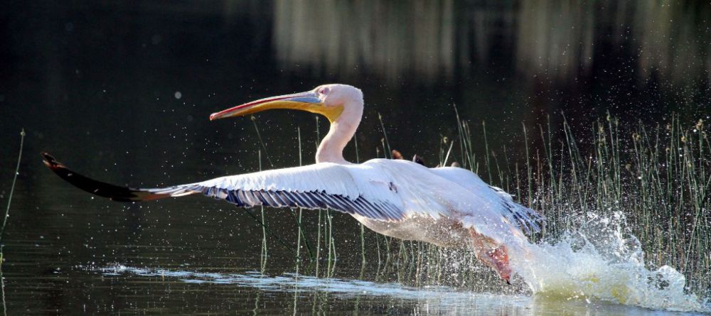 Sleeping Warrior Lodge - Image 4