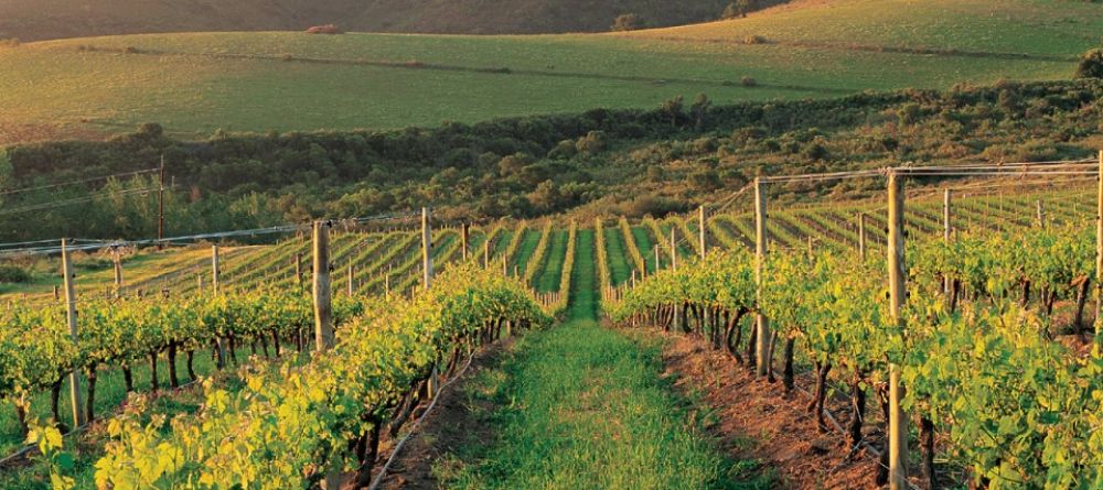 Summerwood Guesthouse, Stellenbosch, South Africa - Image 1