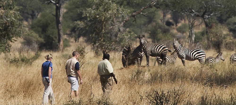 Swala Camp, Tarangire National Park, Tanzania - Image 8