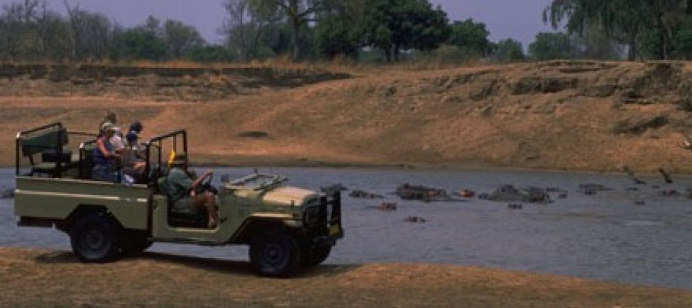 Tafika game drive - Image 2