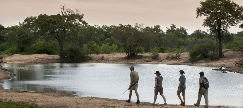 Tanda Tula Field Camp, Timbavati Game Reserve, South Africa - Image 5