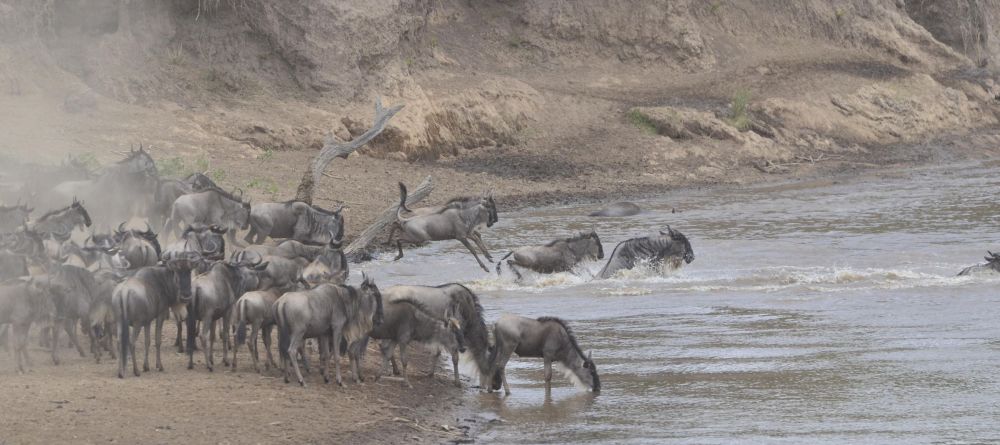 Tangulia Mara Camp, Masai Mara, Kenya - Image 22