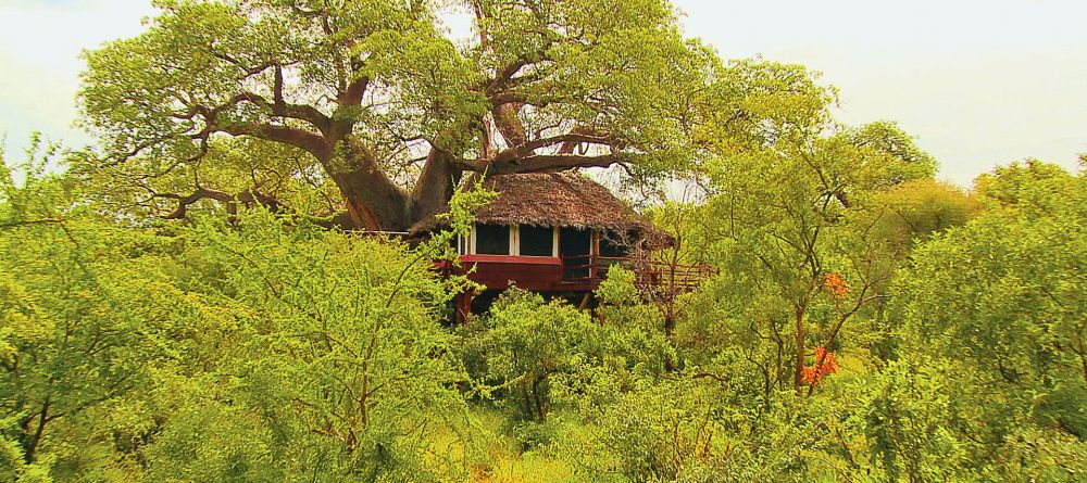 Tarangire Treetops, Tarangire National Park, Tanzania  Â© AndBeyond - Image 5