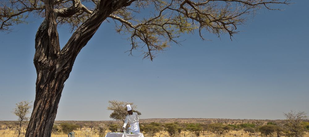 Tarangire Treetops, Tarangire National Park, Tanzania  Â© AndBeyond - Image 7