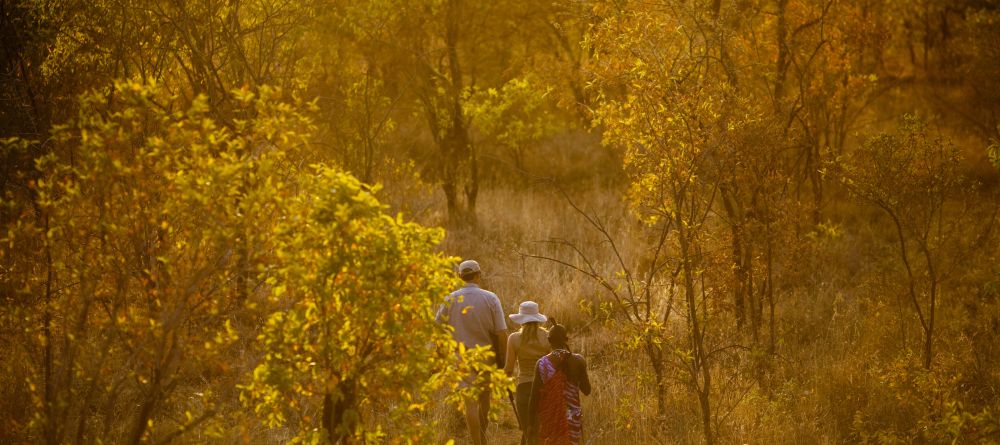 Tarangire Treetops, Tarangire National Park, Tanzania  Â© AndBeyond - Image 8