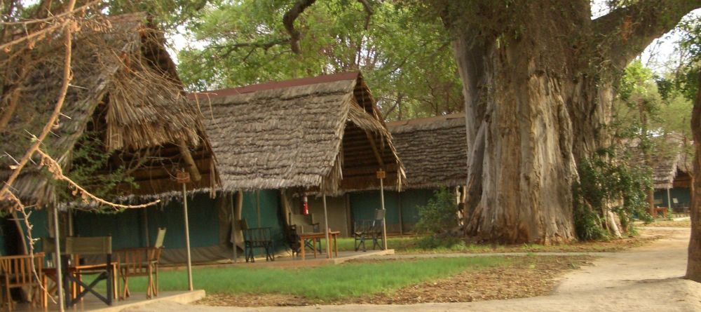 Tanzania Safari Adventure - Image 1