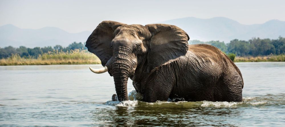 Tembo Plains Camp - Image 12