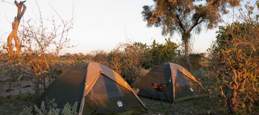 Tents at Selinda Canoe Trail, Linyati Wetlands, Botswana (Wilderness Safaris) - Image 7