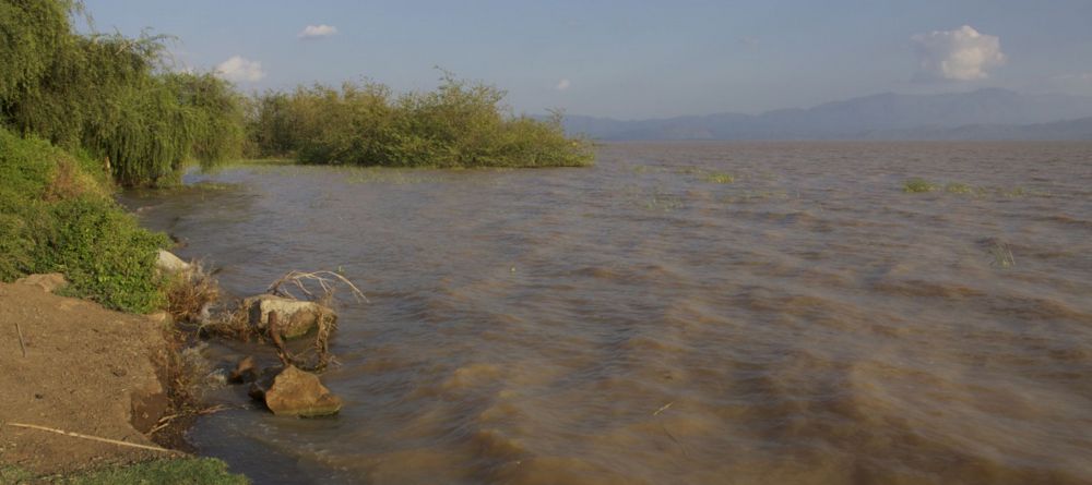 Tourist Hotel - Image 3
